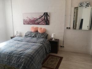um quarto com uma cama com almofadas cor-de-rosa e um espelho em Apartamento Rosa Puerta del Sol em Madrid