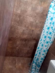 Las TapiasにあるMonoambiente en Las Tapiasのバスルーム(青いシャワーカーテン付)が備わります。