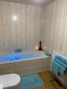 uma casa de banho com uma grande banheira, um WC e uma cadeira. em Seaview Cottage em Ascog
