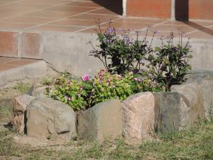 Photo de la galerie de l'établissement El Rancho de Manolo, à Molinos 11 autres photos