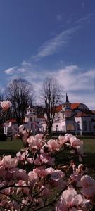 Un mucchio di rose rosa in un campo con case di Apartman 21 Banja Koviljača a Banja Koviljača