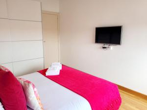 TV a/nebo společenská místnost v ubytování Amplio piso próximo a la Catedral y el Camino. C2