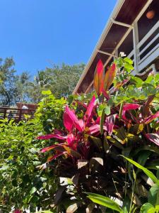 Zahrada ubytování Hotel and Dive Center Roatan Yacht Club