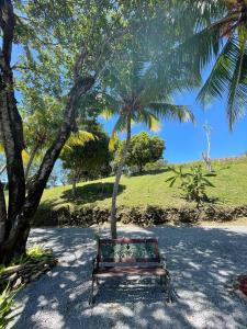 Zahrada ubytování Hotel and Dive Center Roatan Yacht Club