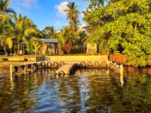 un estanque con un puente en medio del agua en Hostel Tortuguero 7BackPackers en Tortuguero