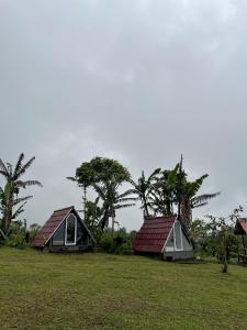 Κήπος έξω από το Bugo Camp, Glamping & Natural Activity
