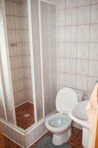 y baño con aseo y ducha. en Ubytovanie v Súkromi Habovka, en Habovka