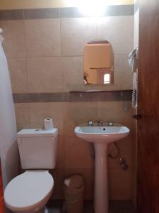 a bathroom with a toilet and a sink and a mirror at El Rancho de Manolo in Molinos