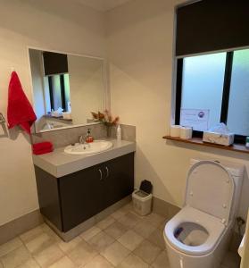 La salle de bains est pourvue de toilettes, d'un lavabo et d'un miroir. dans l'établissement Thistle Do Bed and Breakfast, à Bridgetown