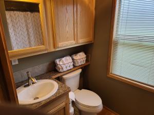 a bathroom with a sink and a toilet and a window at The Bogi Bear Inn in Forks