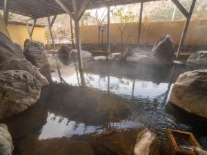 那須鹽原的住宿－Shiobara Onsen Yashio Lodge，动物园里一个有岩石的池塘
