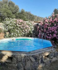 einen Pool in einem Garten mit Blumen in der Unterkunft Mini Villa Giuseppina in Bonifacio