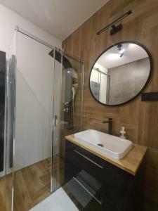 La salle de bains est pourvue d'un lavabo et d'un miroir. dans l'établissement Spiski Zakątek, à Niedzica