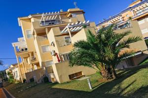 a building with a palm tree in front of it at Apartamentos Carlton VyB in Denia