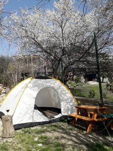 Giardino di Nargizaanta