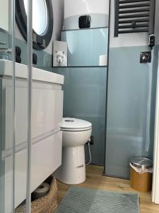 a bathroom with a toilet and a sink at Hausboot Schwanennest in Kirchberg an der Raab