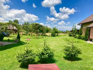 une cour avec de l'herbe verte, des arbres et des buissons dans l'établissement Casa Neagu, à Covasna