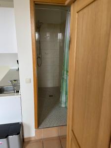a bathroom with a shower with a glass door at Ferienwohnung Hummelhus Elmenhorst in Elmenhorst