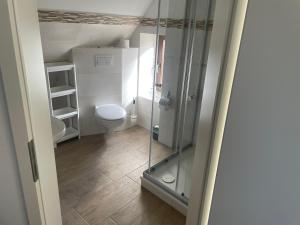 ein Bad mit einem WC und einer Glasdusche in der Unterkunft Ferienwohnung an der Ostsee in Elmenhorst