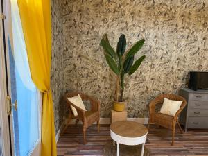 um quarto com duas cadeiras e uma mesa e uma planta em LES GENEBRUYERES - L'HISTOIRE D'UN REVE em Aubigny-sur-Nère