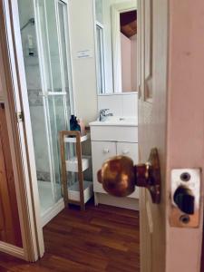 a bathroom with a shower and a sink and a door at Willuna Sanctuary in Chiltern