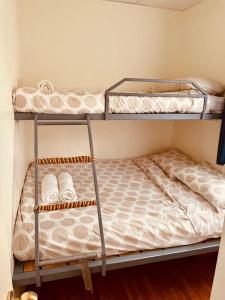 two bunk beds in a small room with at Willuna Sanctuary in Chiltern
