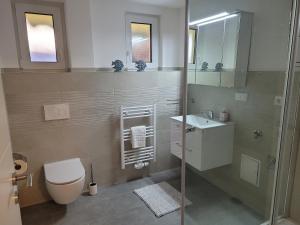 a bathroom with a shower and a toilet and a sink at Große,Schöne FeWo nähe Schwetzingen-Hockenheim 3 Zimmer mit Balkon in Oftersheim +5 photos