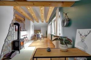 a living room with a fireplace and a wood stove at Jager Apartment Krynica Zdrój in Krynica Zdrój