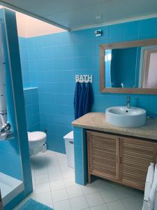 A bathroom at Seaside apartments Petar