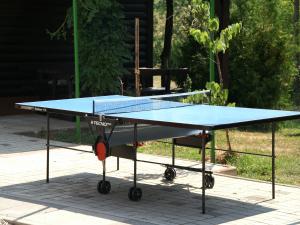 Stolní tenis v ubytování Bed & Breakfast Helena nebo okolí