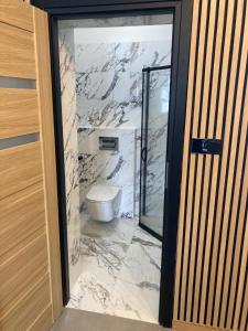 La salle de bains est pourvue de toilettes et d'une porte en verre. dans l'établissement Schweizerhaus Apartments, à Karpacz