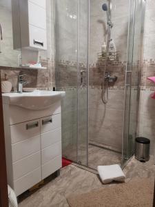 uma casa de banho com um chuveiro e um lavatório. em Bellavista em Vrnjačka Banja