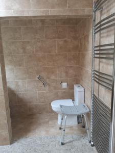 a bathroom with a toilet and a sink and a shower at Barn Owl in Happisburgh +21 photos