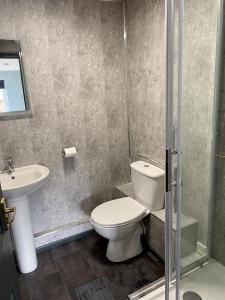 łazienka z toaletą i umywalką w obiekcie The Bridge Inn w mieście Tenbury