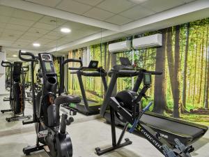 Posilňovňa alebo fitness centrum v ubytovaní 1891 Garni Hotel