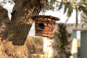 a birdhouse hanging from the side of a tree at The Olive Yard in Gythio