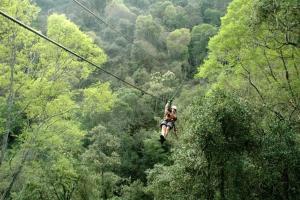 a person on a zip line in the forest at Belvidere Country Estate in Yarrow