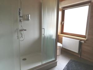 baño con ducha y puerta de cristal en Haus Petra, en Neumarkt in Steiermark