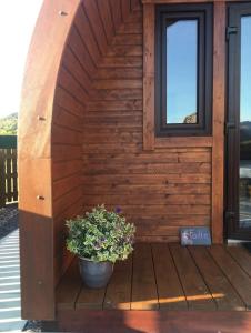 a wooden cabin with a window and a potted plant at The Fox's Den, Luxury Cosy Mini Lodge, Highlands in North Ballachulish