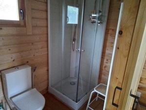 a shower stall in a bathroom with a toilet at De Wingerd in Bergakker