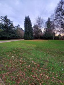 un vaste champ d'herbe planté d'arbres en arrière-plan dans l'établissement Purdis Farm - Flat 4, à Bucklesham