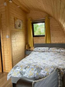 a bedroom with a bed in a room with a window at The Fox's Den, Luxury Cosy Mini Lodge, Highlands in North Ballachulish