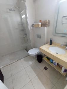 La salle de bains est pourvue d'une douche, de toilettes et d'un lavabo. dans l'établissement Adrianopol by the sea, à Năvodari