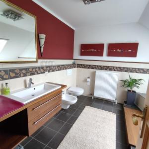 a bathroom with a sink and a toilet and a mirror at Ferienwohnung Adelhardt in Eckersdorf