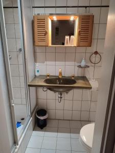 uma casa de banho com um lavatório e um WC em Einzimmerwohnung B und E em Meckenbeuren