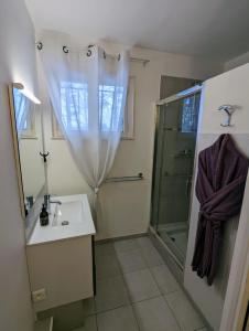 La salle de bains est pourvue d'une douche, d'un lavabo et d'un rideau de douche. dans l'établissement La Maison de Boyeux, à Châtillon