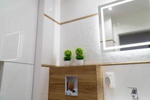 a bathroom with two potted plants on a shelf at Apartament przy Czarnej in Białystok