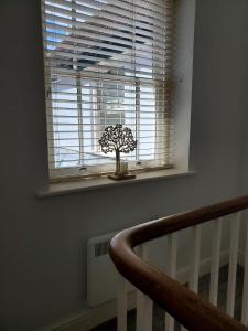 a window with a tree in a vase on a window sill at Ipswich Town Centre - Apartment 6 in Ipswich