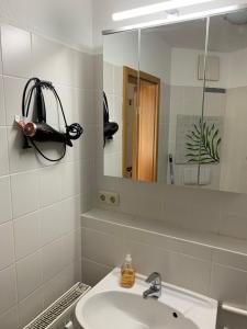 y baño con lavabo y espejo. en Ferienwohnung Kleine Auszeit in Altenau en Altenau
