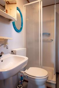 een badkamer met een toilet, een wastafel en een douche bij Huisje Mooijweer in Putten